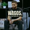 undefined WAGOS (With A Grain of Salt)