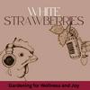 undefined White Strawberries: Gardening for Wellness & Joy