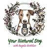 undefined Your Natural Dog with Angela Ardolino - Formerly It's A Dog's Life