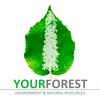 undefined YourForest