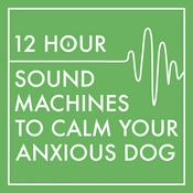 Podcast 12 Hour Sound Machines to Calm Your Anxious Dog