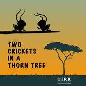Podcast 2 Crickets In A Thorn Tree