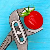 Podcast 5 Year Crafts