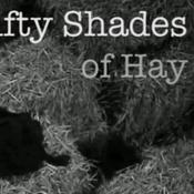 Podcast 50 Shades of Hay