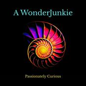 Podcast AWONDERJUNKIE