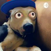 Podcast Addie’s Absurdity