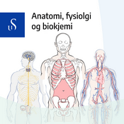 Podcast Anatomi, fysiologi og biokjemi – UiS podkast