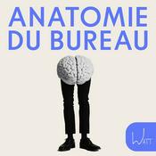 Podcast Anatomie du bureau