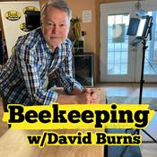 Podcast Mysteries of Honey Bees