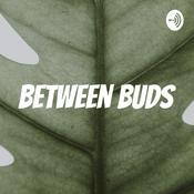 Podcast Between Buds