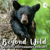 Podcast Beyond Wild: Wildlife Photography Podcast