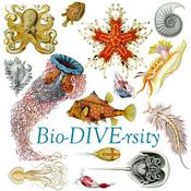Podcast Bio-DIVE-rsity