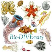 Podcast Bio-DIVE-rsity