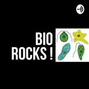 Podcast Bio Rocks