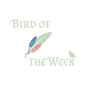 Podcast Bird of the Week