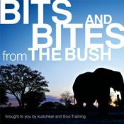 Podcast Bits & Bites from the Bush: Wilderness-wise with Eco-Training