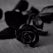 Podcast Black Roses & Poetry Podcast