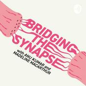 Podcast Bridging the Synapse