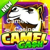 Podcast Camel Cash Casino - Slots 777