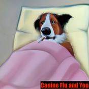 Podcast Canine Flu and You!