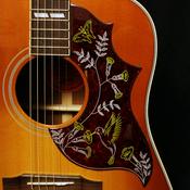 Podcast Cascadia Coffeehouse
