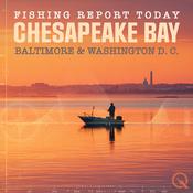 Podcast Chesapeake Bay Baltimore Washington D.C. Fishing Report Today