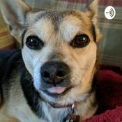Podcast Cider: A Dog's Story
