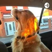 Podcast ¿Consecuencias Buenas?