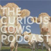 Podcast Curious Cows
