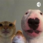 Podcast Dalloway Dudes