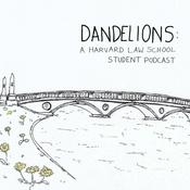 Podcast Dandelions: A Harvard Law School Podcast