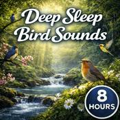 Podcast Deep Sleep Bird Sounds: Calming Nature Ambience for Rest, Relaxation, Meditation, and Stress Relief