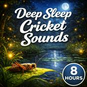 Podcast Deep Sleep Cricket Sounds: Calming Night Ambience for Sleep, Relaxation, Meditation, and Stress Relief