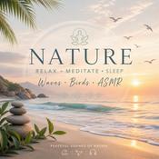 Podcast Deep Sleep Meditation Music 🌙 Relaxing Ocean Waves, Birds Singing & Nature Sounds | Stress Relief, Study, Healing, ASMR Ambience