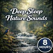Podcast Deep Sleep Nature Sounds: Calming Outdoor Ambience for Sleep, Relaxation, Meditation, and Stress Relief