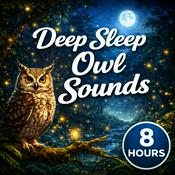 Podcast Deep Sleep Owl Sounds: Calming Nighttime Nature Ambience for Sleep, Relaxation, Meditation, and Stress Relief