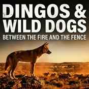 Podcast Dingos & Wild Dogs