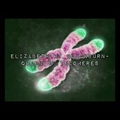 Podcast Elizabeth.H.Blackburn- Queen Of The Telomeres