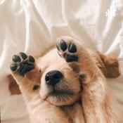 Podcast ~Exploring 5JS~