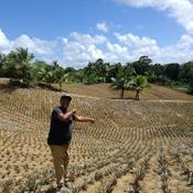 Podcast Farmer's Voices