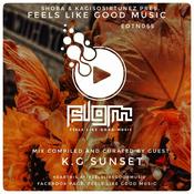 Podcast Feels Like Good Music Presented By SHOBA & KAGISOSIRTUNEZ