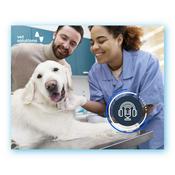 Podcast Focal Point: the Vet Solutions podcast