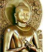 Podcast Forest Sangha Dhamma Talk Series