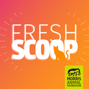 Podcast Fresh Scoop