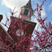 Podcast Grace Fellowship Church