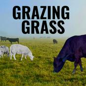 Podcast Grazing Grass Podcast sharing Regenerative Ag Stories