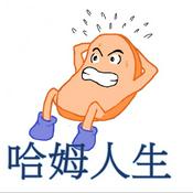 Podcast 哈姆人生
