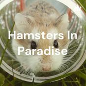 Podcast Hamsters In Paradise