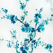 Podcast Hello all friend