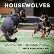 Podcast Housewolves